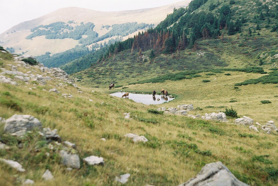 Bjelasica katun country