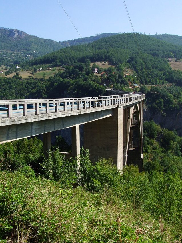 Tara Canyon bridge